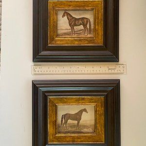 Horse Prints (2) Framed